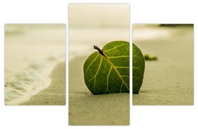 Obraz listu v piesku (90x60 cm)