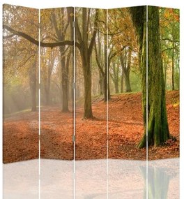 Gario Paraván Jeseň v lese Rozmery: 180 x 170 cm, Prevedenie: Klasický paraván