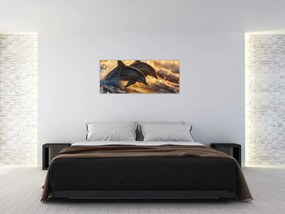 Obraz - Delfíny (120x50 cm)