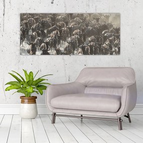 Obraz - Stádo pakoňov (120x50 cm)