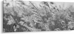 Obraz - Tráva vo vetre (120x50 cm)