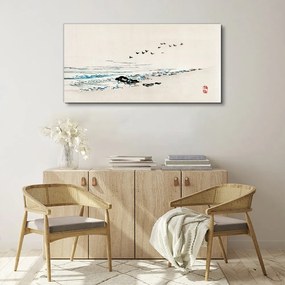 Obraz na plátne Plážové morské vtáky