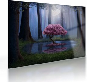 Sklenený obraz - Magická noc (70x50 cm)