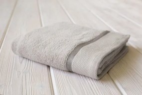 Jerry Fabrics Bavlnený froté uterák COLOR 50x100 cm - svetlosivý