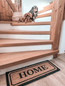 Hanse Home, Rohožka Home kokos 105678 – na von aj na doma, 27x70, hnedá, chodba / predsieň