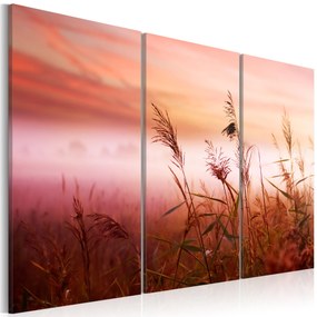 Artgeist Obraz - A silent meadow Veľkosť: 120x80, Verzia: Na talianskom plátne