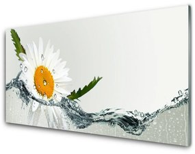 Skleneny obraz Sedmokráska vo vode 140x70 cm