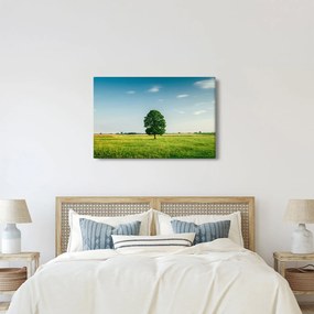 Obraz stromu uprostred lúky (90x60 cm)