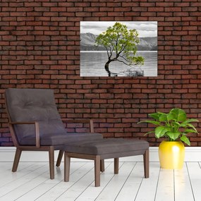 Obraz stromu uprostred jazera (70x50 cm)