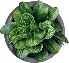 Plastový kvetináč originálny antracitový matný