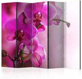 Paraván - Pink orchid II [Room Dividers] Veľkosť: 225x172, Verzia: Akustický