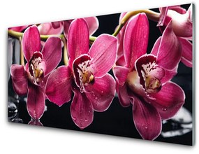 Sklenený obklad Do kuchyne Kvety orchidey výhonky príroda 140x70 cm