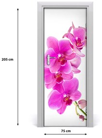 Fototapeta samolepiace ružová orchidea 75x205 cm