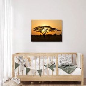 Sklenený obraz - Africká savana (70x50 cm)