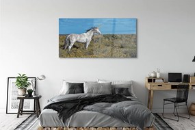 Obraz na akrylátovom skle Unicorn golf 140x70 cm
