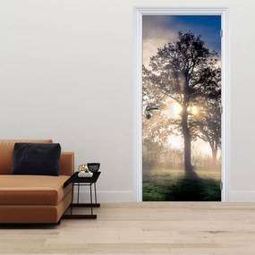 Fototapeta na dvere - Strom v hmle (95x205cm)