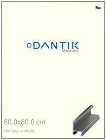 DANTIK rám na obraz 60x80 | ALU Ocelová (Plexi Čiré)