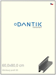 DANTIK rám na obraz 60x80 | ALU Ocelová (Plexi Čiré)