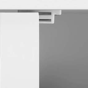 Kúpeľňová skrinka, úložná skrinka s 2 dvierkami, biela