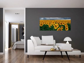 Obraz slnečnicového poľa (120x50 cm)