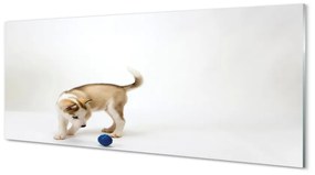 Obraz na akrylátovom skle Hrať s tým psom 120x60 cm