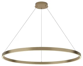 Závesné svietidlo MAYTONI RIM MOD058PL-L54BS3K