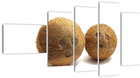 Kokosový orech, obraz