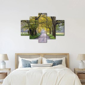 Obraz - Smoky Mountains, Gatlinburg, USA (150x105 cm)