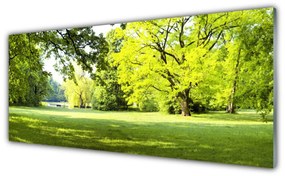 Obraz plexi Tráva stromy park príroda 125x50 cm