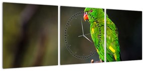 Obraz papagája na vetve (s hodinami) (90x30 cm)