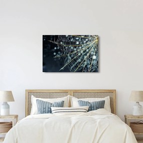Obraz -Kvet s pavučinou (90x60 cm)