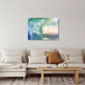 Sklenený obraz - šťastia (70x50 cm)