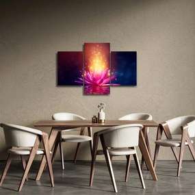 Obraz lekna na vode (90x60 cm)