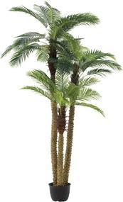 Okrasná trojitá palma v kvetináči Palm - Ø180 * 300cm