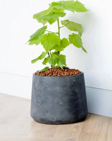 Kvetináč TROPICO, sklolaminát, výška 29 cm, antracit