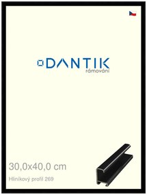 DANTIK rám na obraz 30x40 | ALU Černá lesklá (Plexi Čiré)