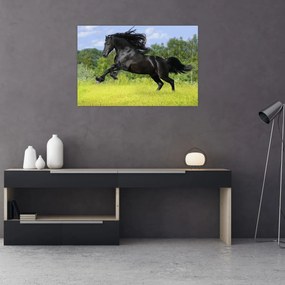Obraz - Kôň s vzdušnou hrivou (90x60 cm)