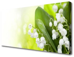Obraz Canvas Konvalinky listy kvety lúka 100x50 cm