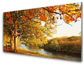 Obraz plexi Strom jazero príroda 120x60 cm