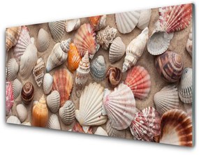 Obraz plexi Kôrovec piesok umenie 100x50 cm