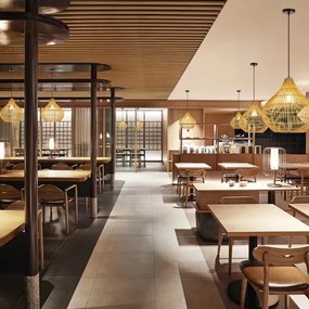 Immax 08257L - Luster na lanku PELO 1xE27/40W/230V pr. 40 cm ratan