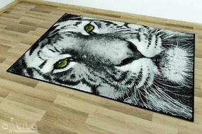 Koberec Rainbow 11179/190 tiger
