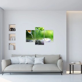 Obraz - Lotus (90x60 cm)