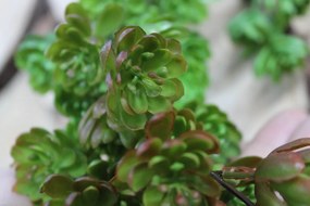 Zelený umelý ťahavý chmeľ 68cm