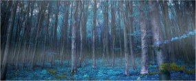 Obraz - Magický les (120x50 cm)