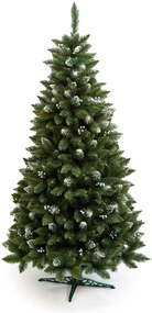 Limpol VIANOČNÝ STROMČEK Borovica Iza Perla Výška stromčeka: 220 cm