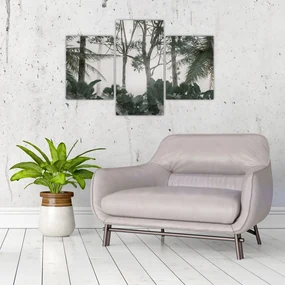 Obraz - Jungle v rannej hmle (90x60 cm)