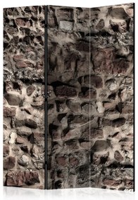 Artgeist Paraván - Antiquum murum [Room Dividers]