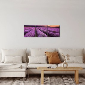 Obraz - Levanduľové pole pri západe slnka (s hodinami) (90x30 cm)