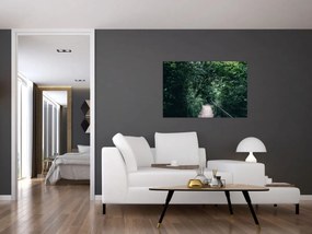 Obraz - Cesta lesom (90x60 cm)